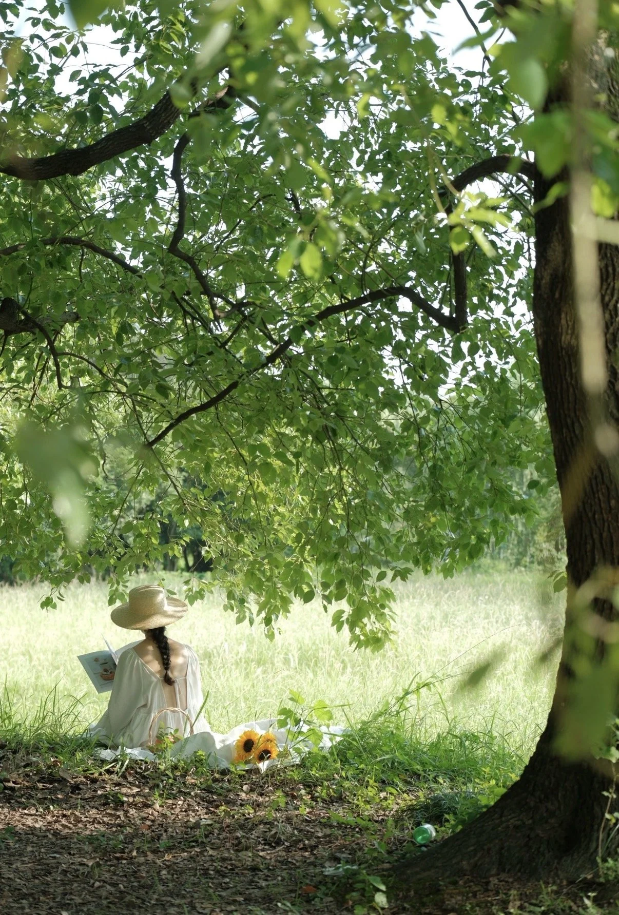 A woman with a braid wearing a large sun hat and white dress sitting on the grass under a large leafy tree, reading a book, with decorated sunflowers lying on the ground nearby.