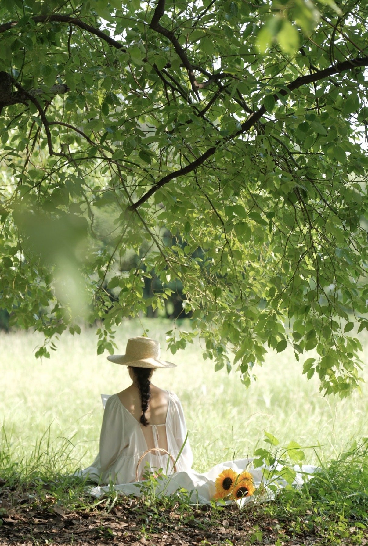 Ontario Portrait Photography