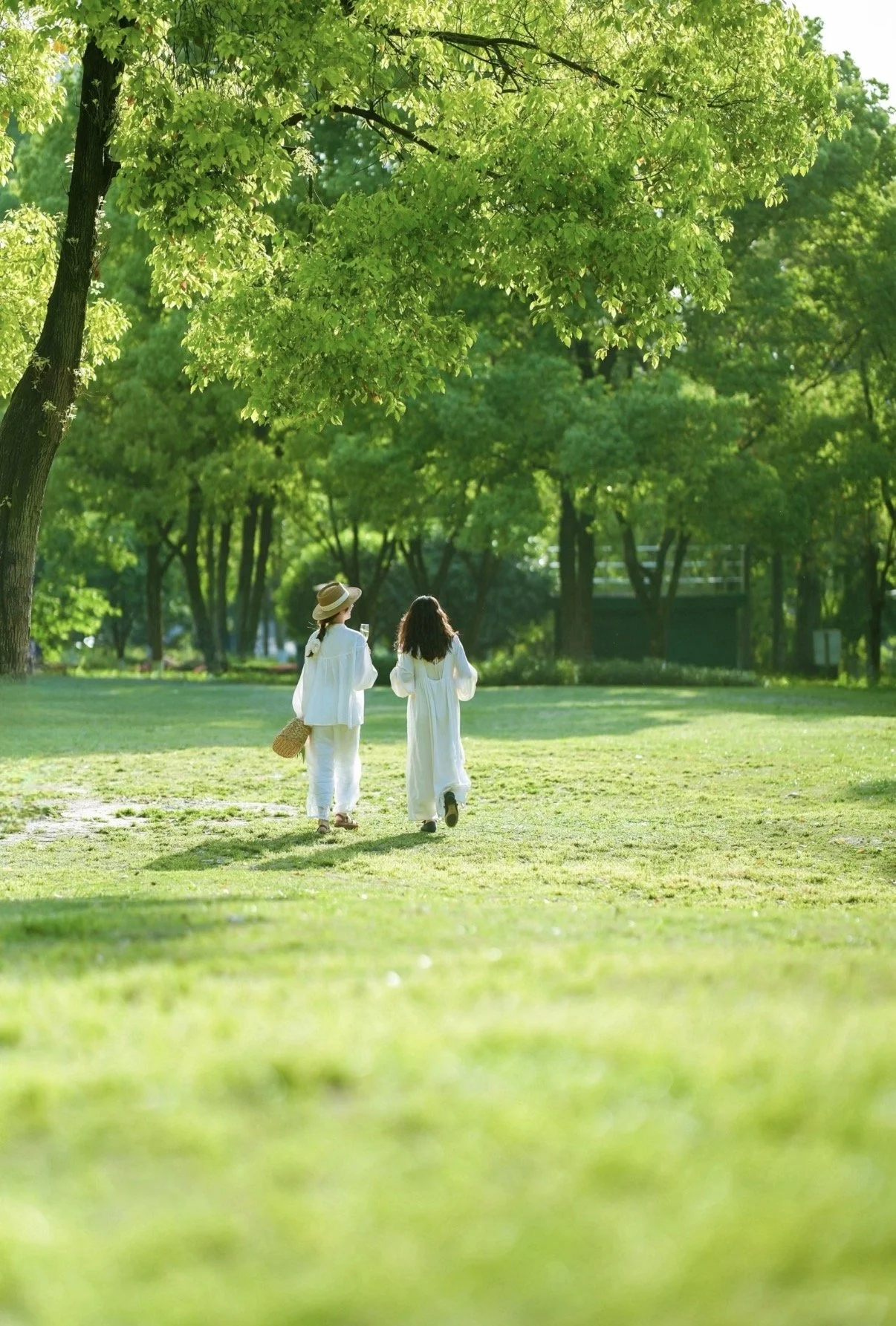 Two women walking through a lush green park on a sunny day, surrounded by tall trees and vibrant grass.