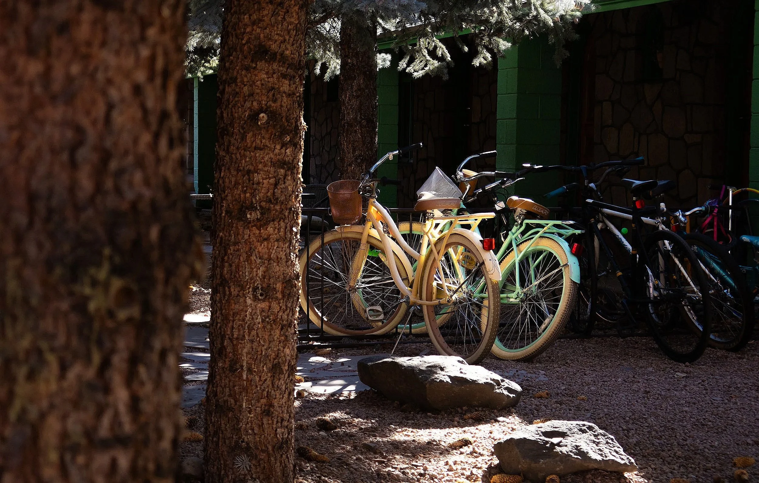 Bicycles parked behind trees and rocks near a building with green accents