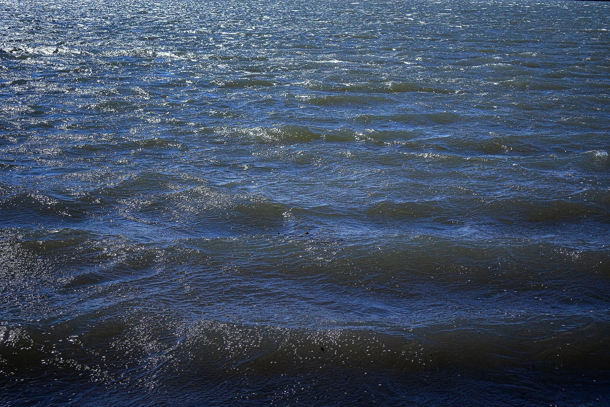 A body of water with small waves, sunlight reflecting off the surface.