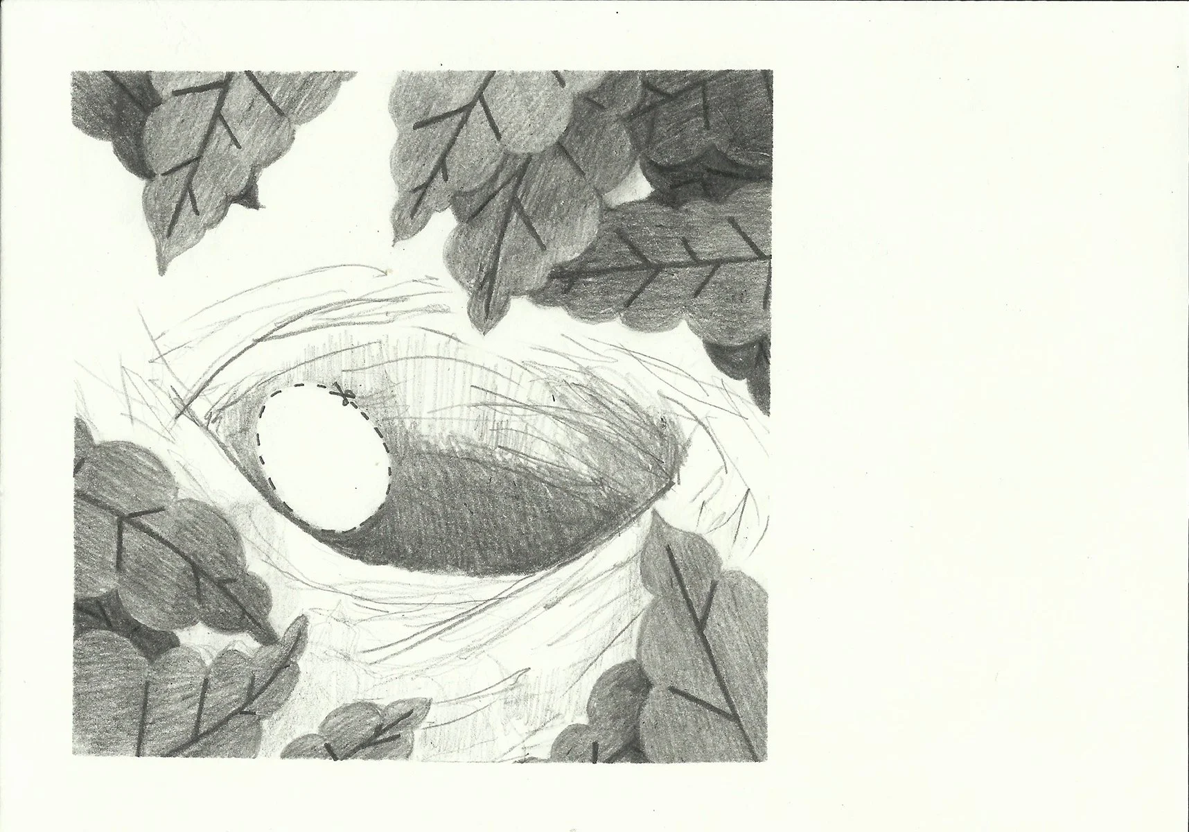 Scanner_20160501 (24) copy.jpg