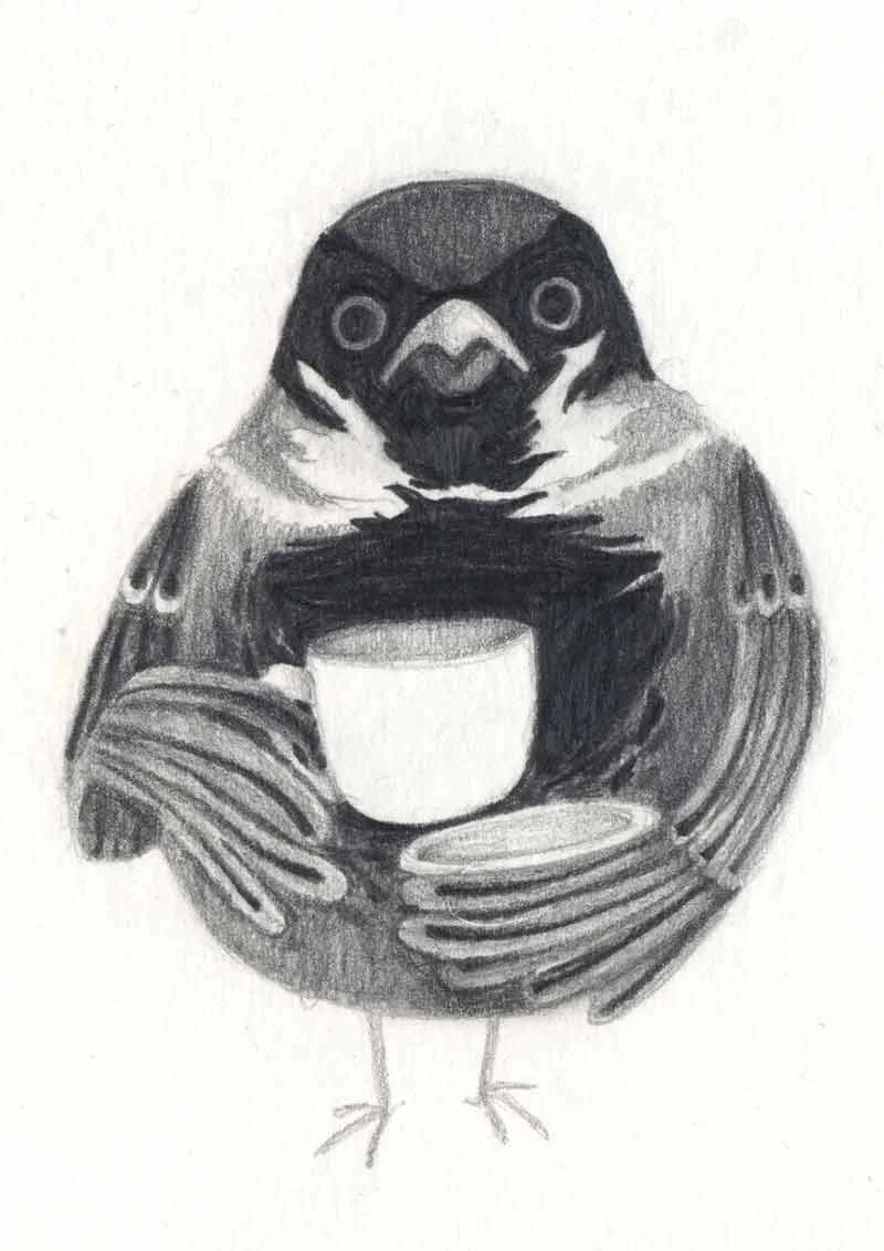sparrows