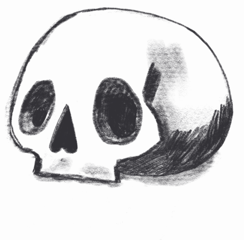 frame-by-frame simple black pencil animation of ants moving from inside of a still, small human skull