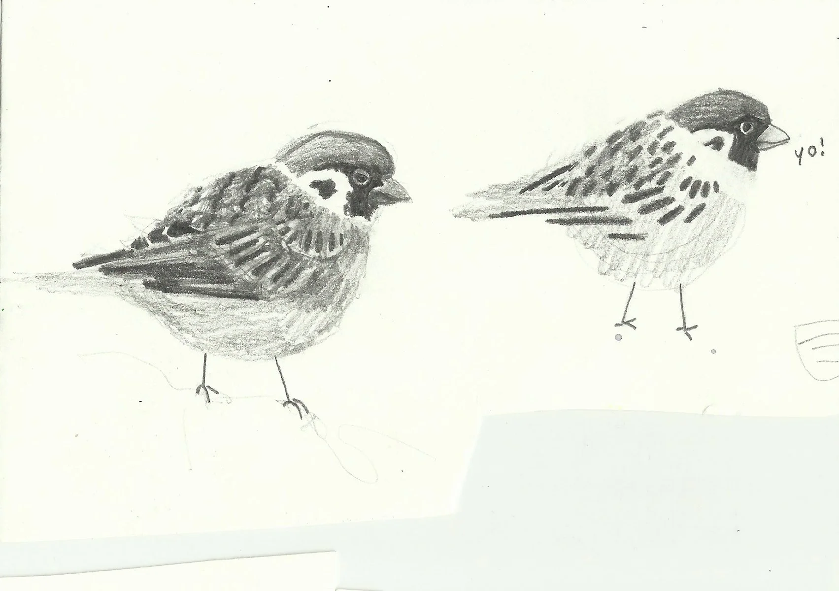 Scanner_20160501 (10) copy.jpg