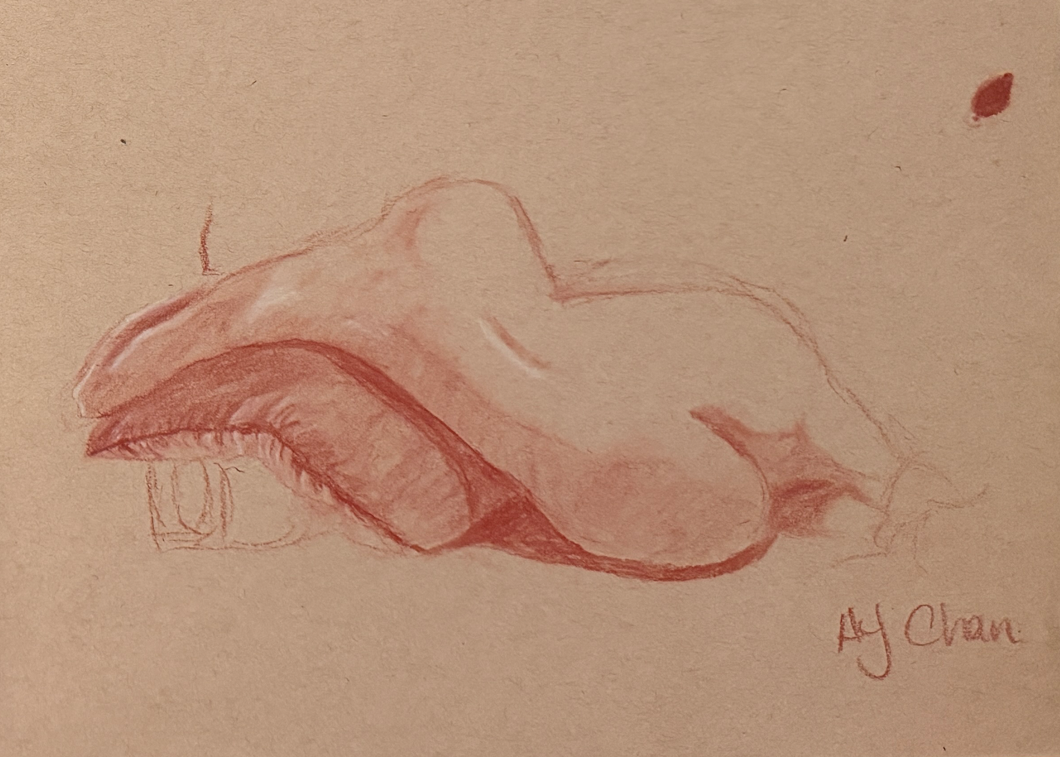 LIFE DRAWING | 2014