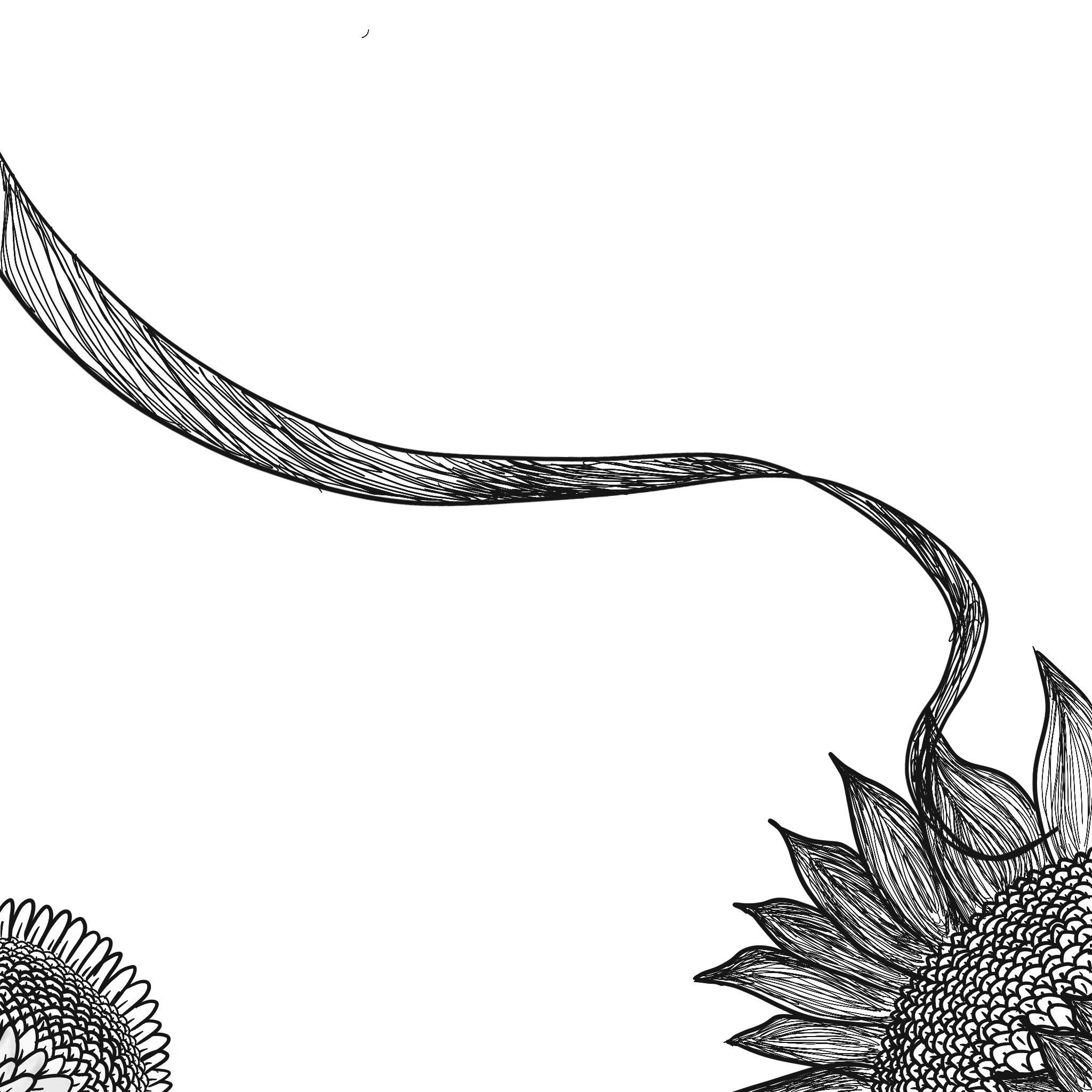SEEDS OF CHANGE | DIGITAL DRAWING | 2022