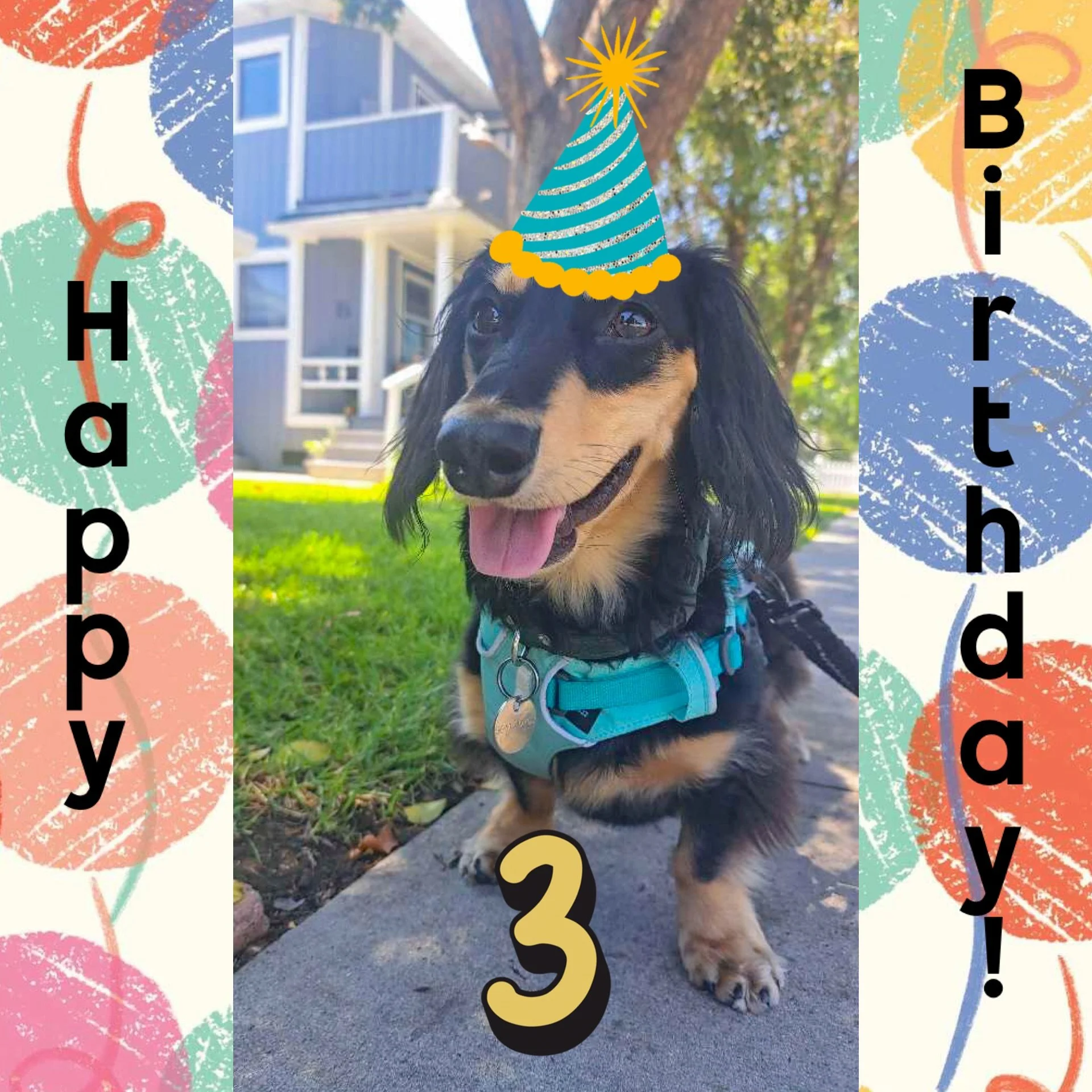 Happy 3rd Birthday, Elliot! 

We hope you had a Wag&rsquo;n good day full of belly rubs and treats! 🎉

#cityoforange #dogbirthdays #birthdayboy #walknwagnpets #ocdogwalker