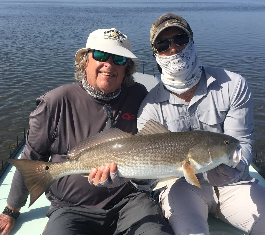 Fly fishing charters in Mosquito Lagoon for redfish.