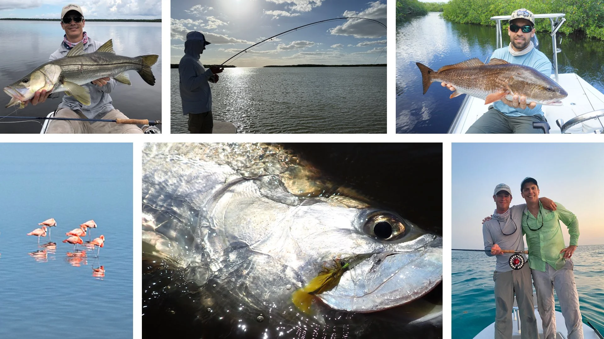 Flamingo Fly Fishing Charters