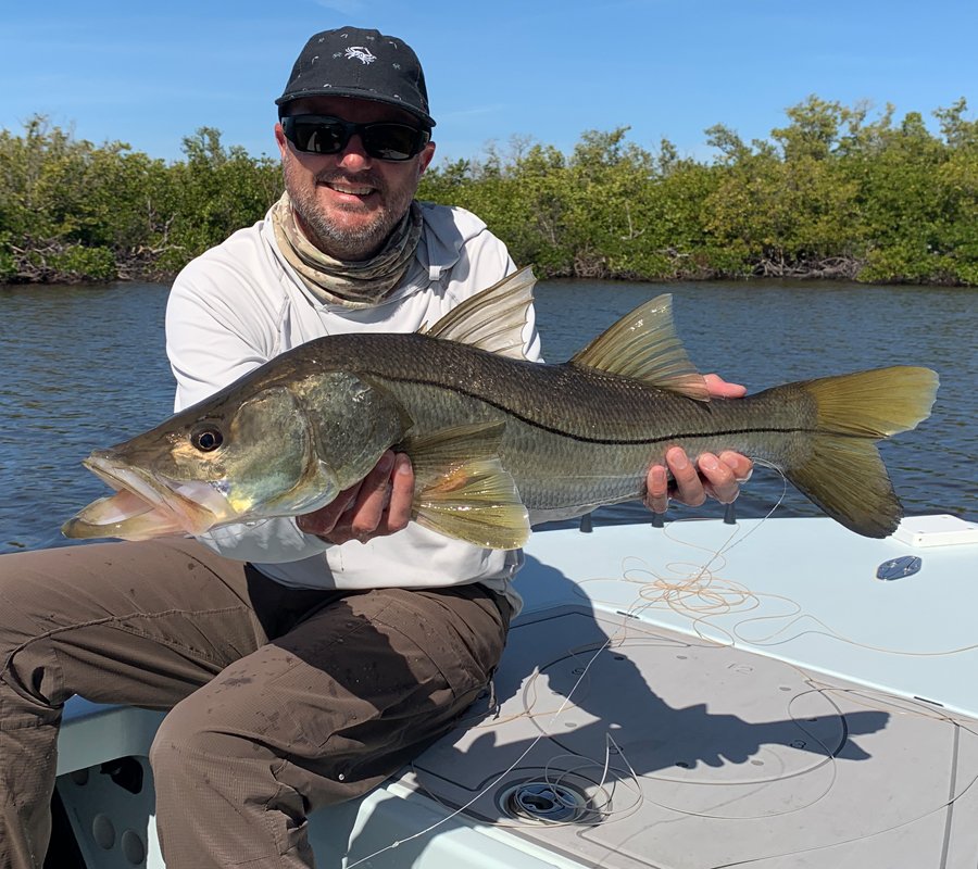 Fly fishing charters in Mosquito Lagoon for snook.