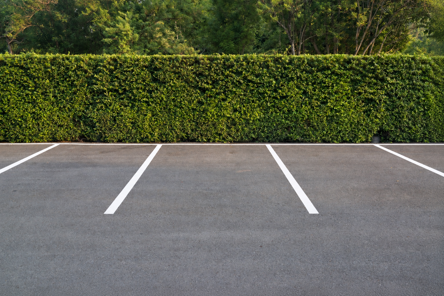 Parking Lot Line Striping