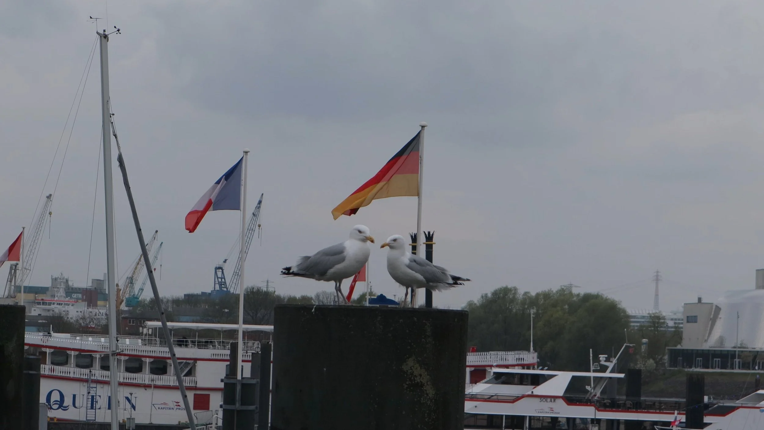 Two seagulls standing on a concrete platform near a harbor, with boats and ships docked in the background, and flags flying, under a cloudy sky.