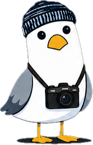 Cartoon penguin wearing a striped winter hat, carrying a camera around its neck, standing on a dark background.