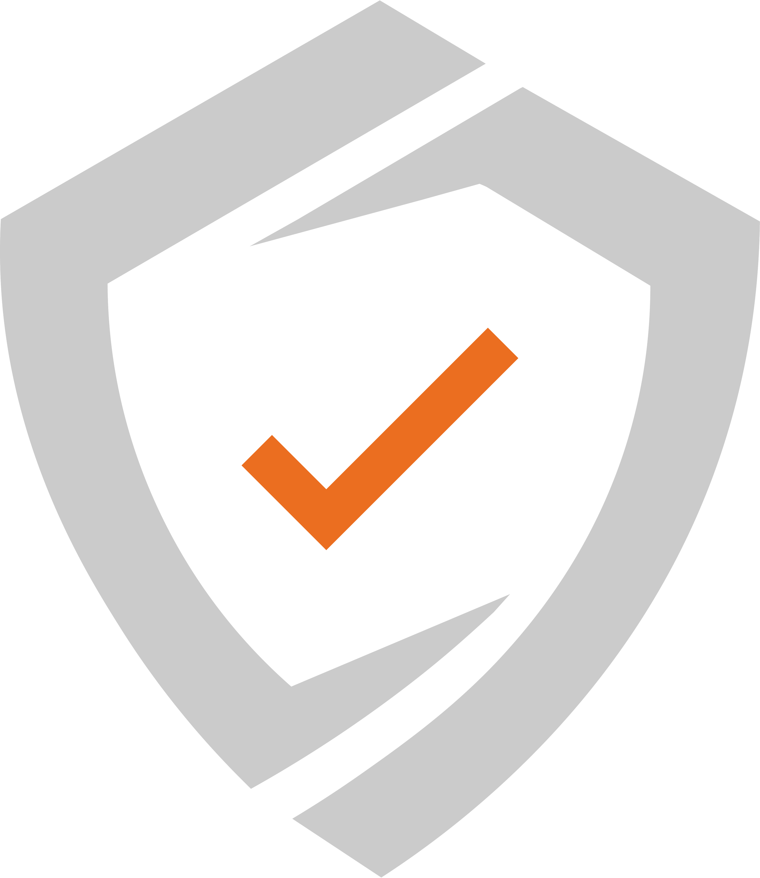 A black and white checkmark inside a star shape with a decorative border.