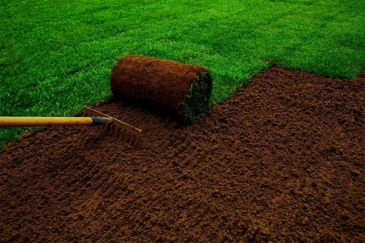 sod-installation.jpg