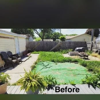 Before: overgrown backyard with broken pavers and old fire bowl