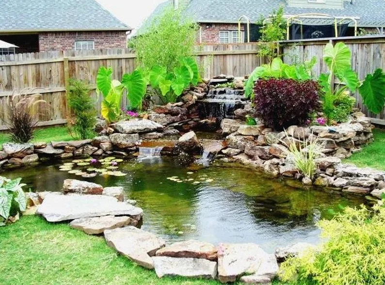 Backyard garden pond installation with rocks, aquatic plants, small waterfall, grass, and privacy fence.