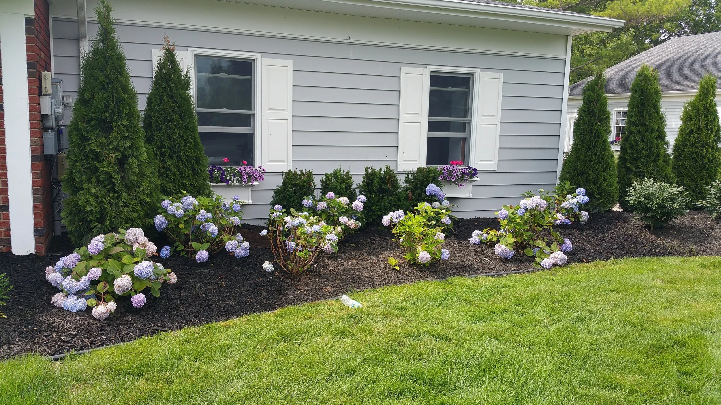 20150713_110542.jpg