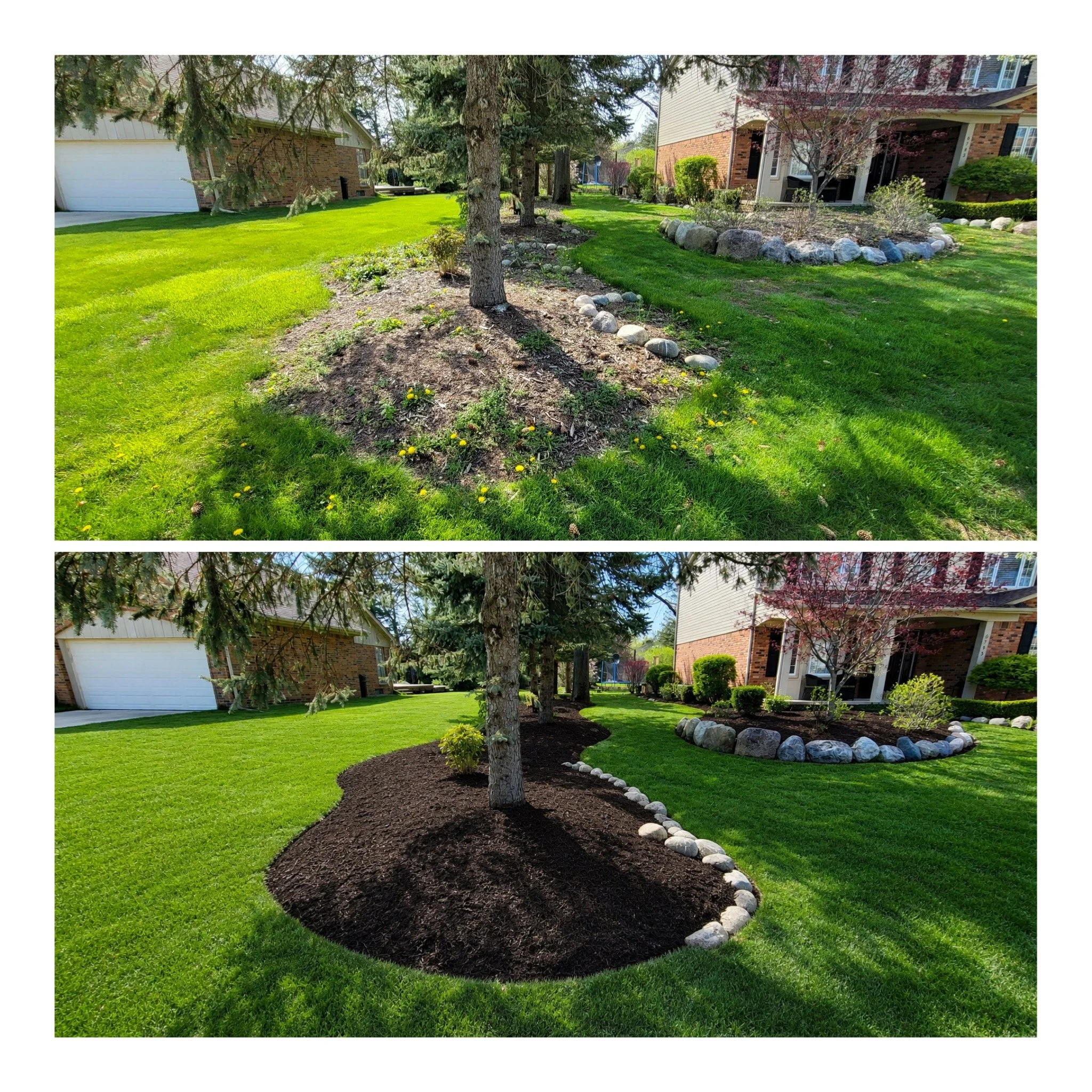 Nothing beats results like this. Synergy Lawnscape prides itself on customer satisfaction, results like this deliver.