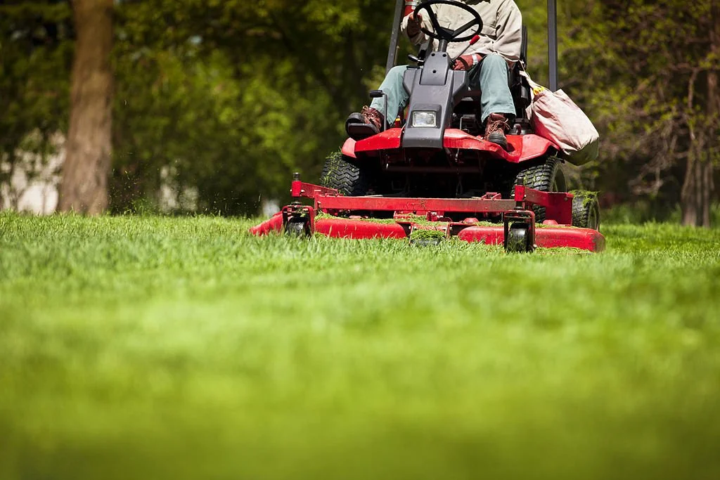 Lawn Maintenance