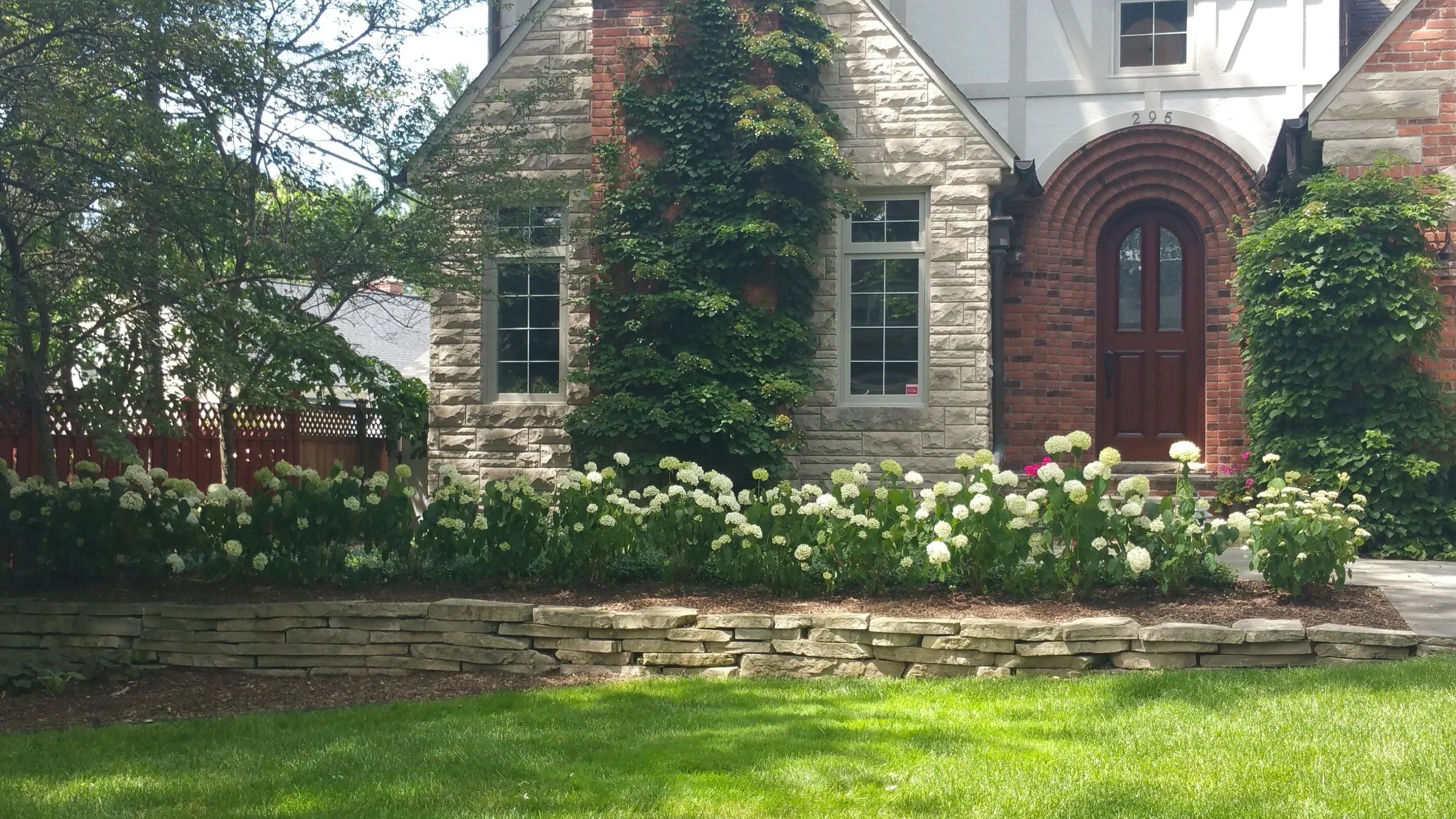 Front yard landscape design with shrubs, pink and white flowers, stone retaining wall, and healthy green lawn.