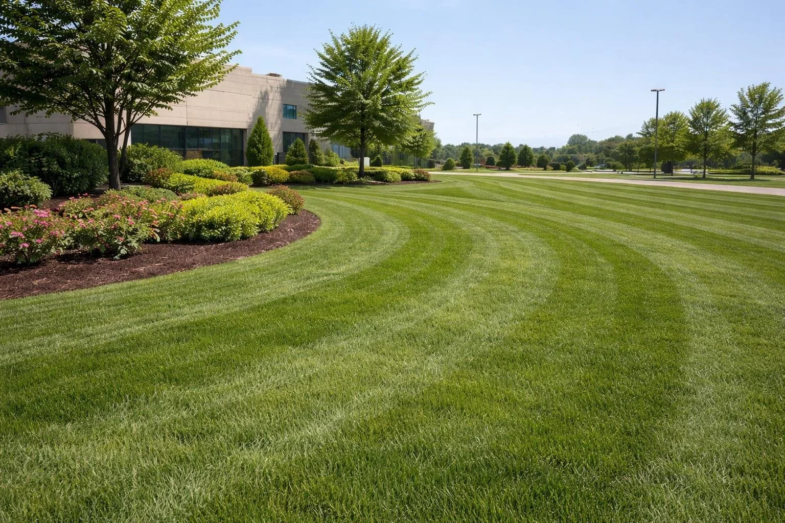 Lawn+2.webp