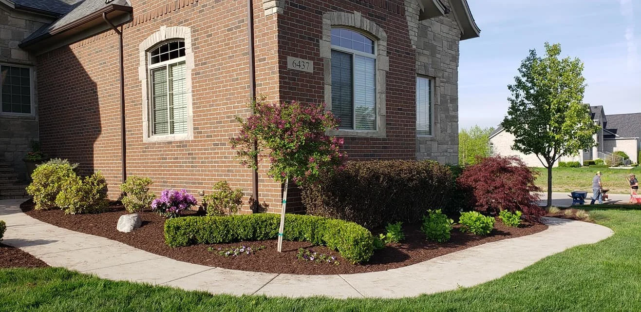Residential front yard landscaping with curved walkway, shrubs, small trees, flowering plants, and brick home exterior.