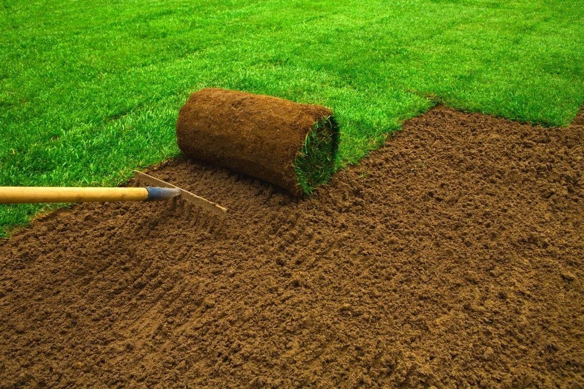 Sod Installation & Seeding