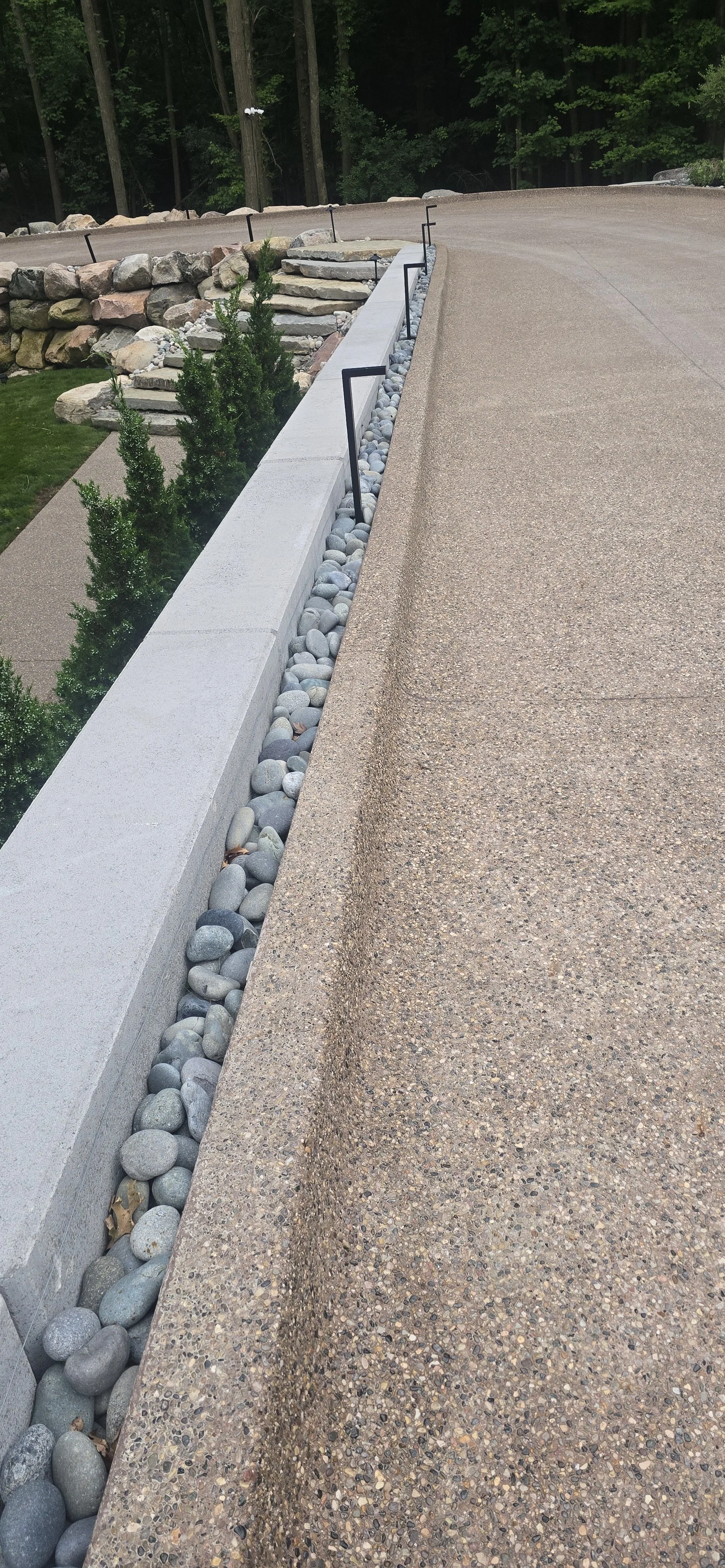 20250626_200842.jpg