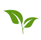small green leaf icon for decoration