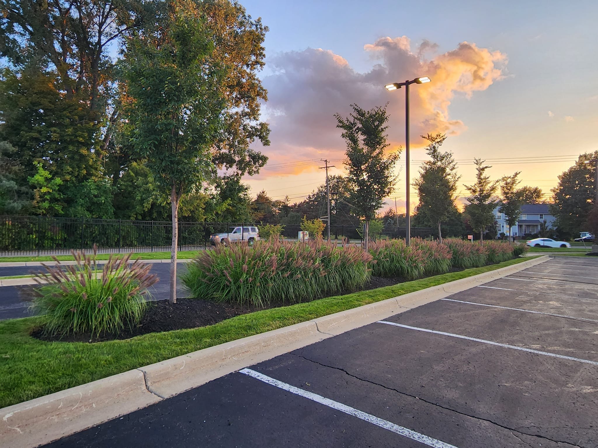 A parking lot area with marked parking spaces and a landscaped section with bushes and trees, a black metal fence, streetlights, and a row of trees. In the background, there are residential buildings and a colorful sunset sky with clouds.