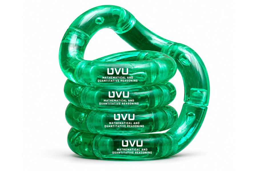 Custom Coil Twisty Puzzle