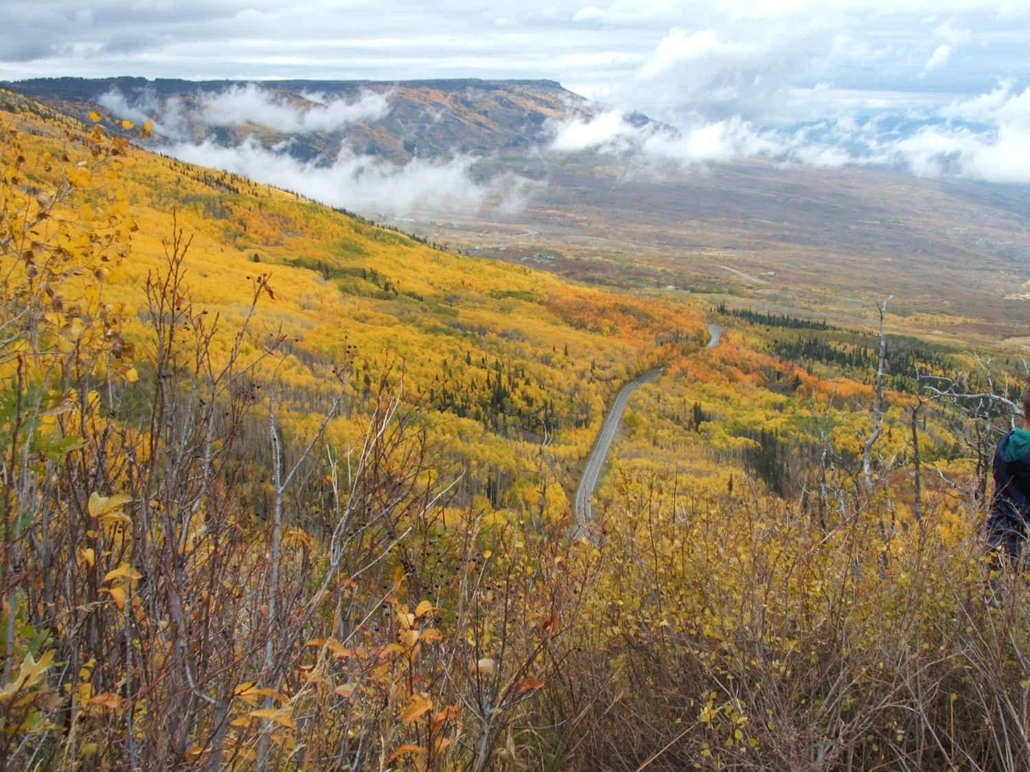 a mountainside with aspens and road in fall