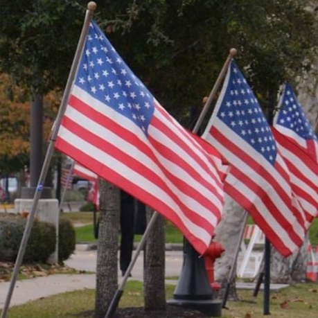 3 Flag Image.png