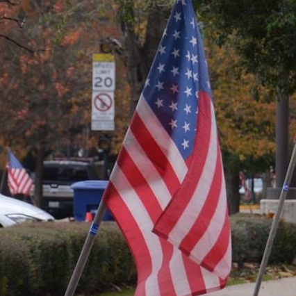 1 Flag Image.png