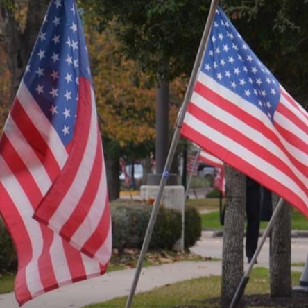 2 Flag Image.png