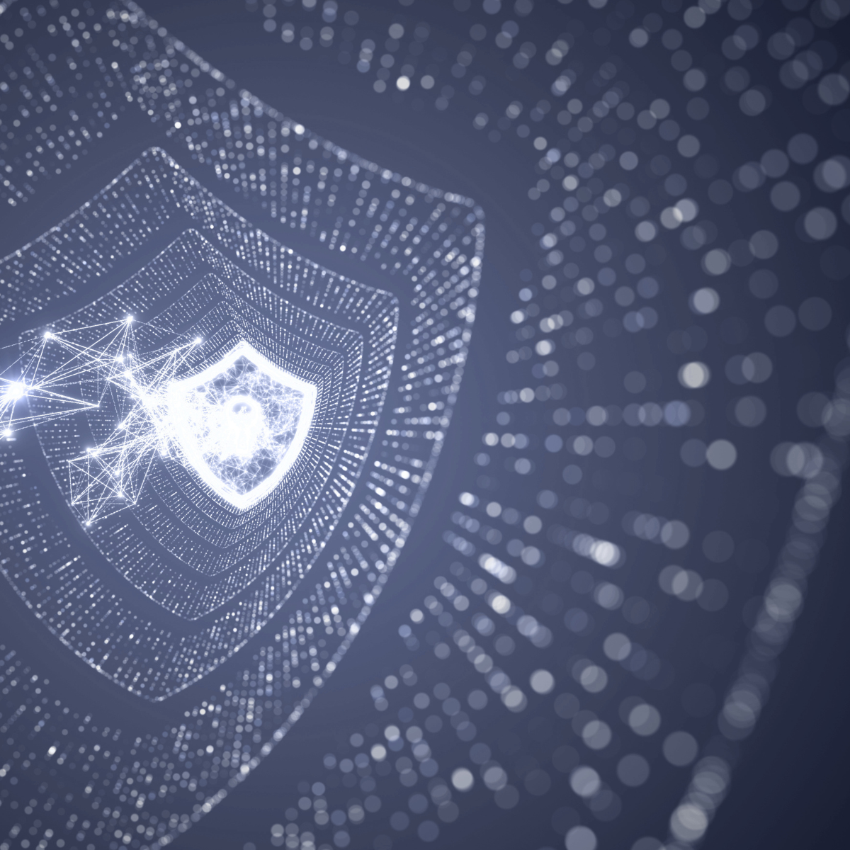 Data Governance Sprint: Rapid Compliance & Quality Diagnostic
