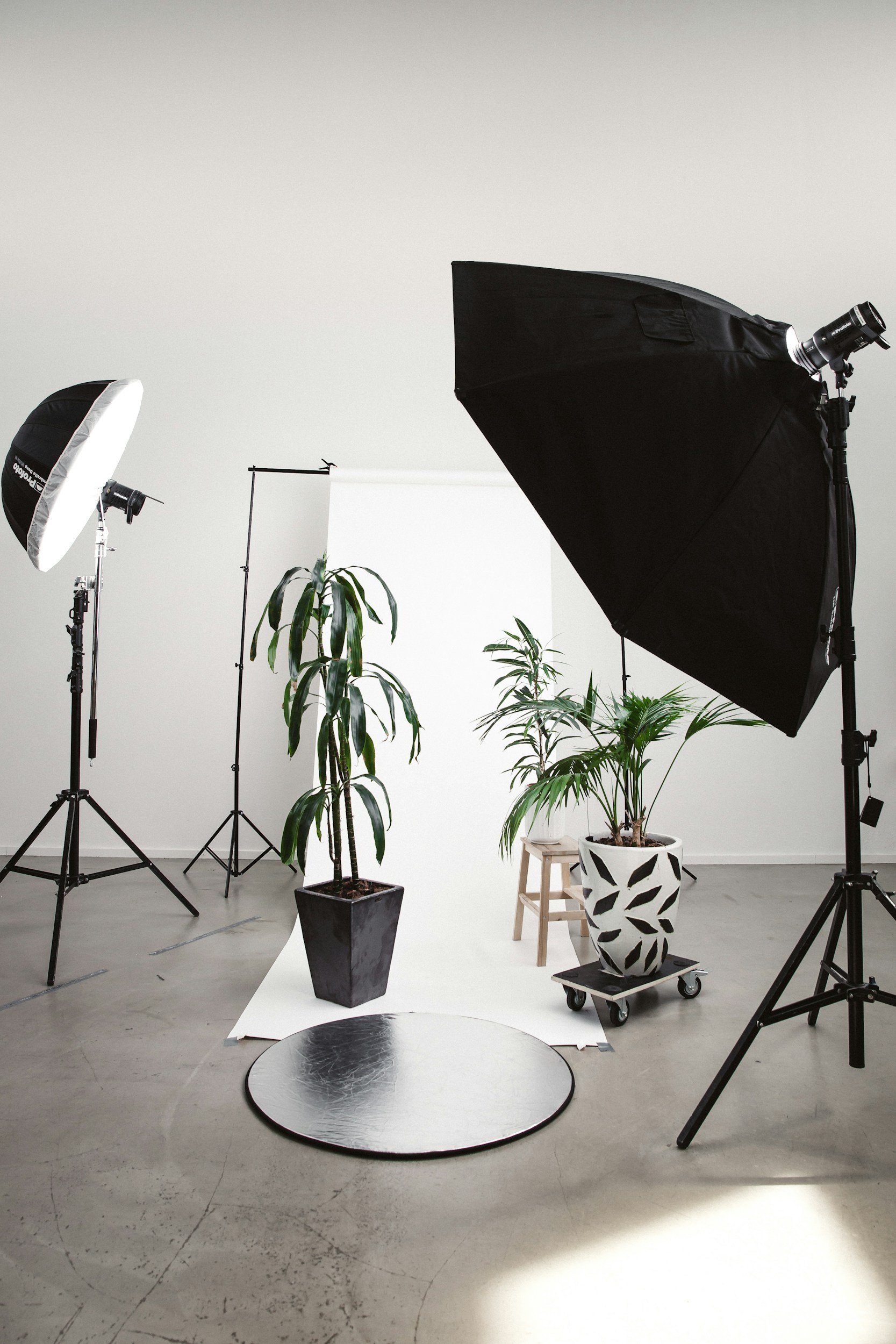Photography studio with professional lighting equipment, large black umbrella, white backdrop, and potted plants against a plain wall.