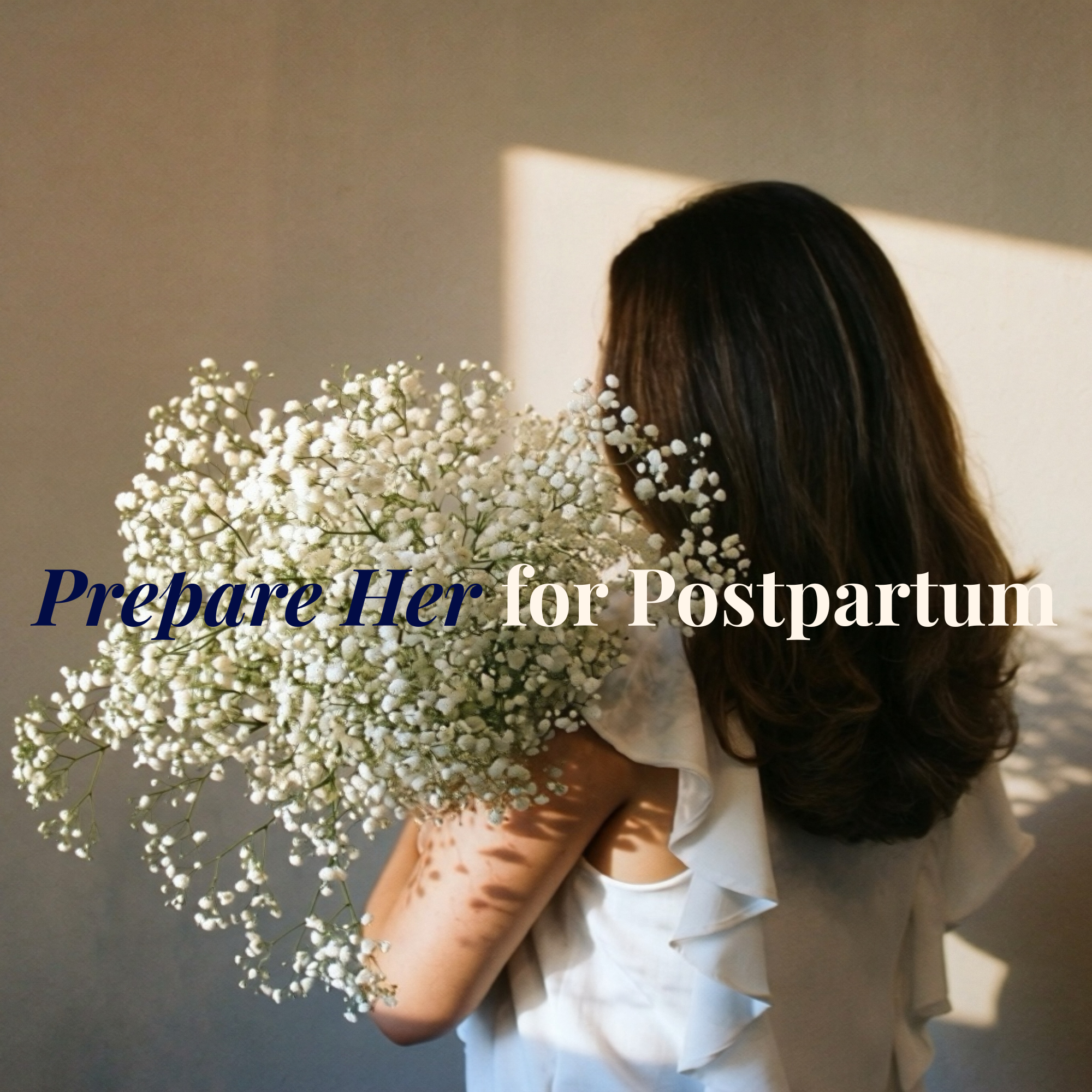 Large Practice License - The Postpartum Preparedness Plan™