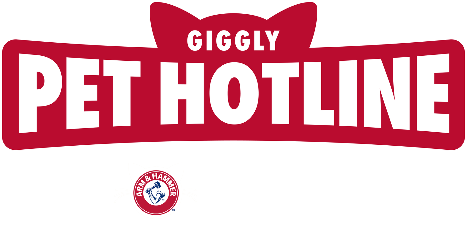 Giggly Pet Hotline