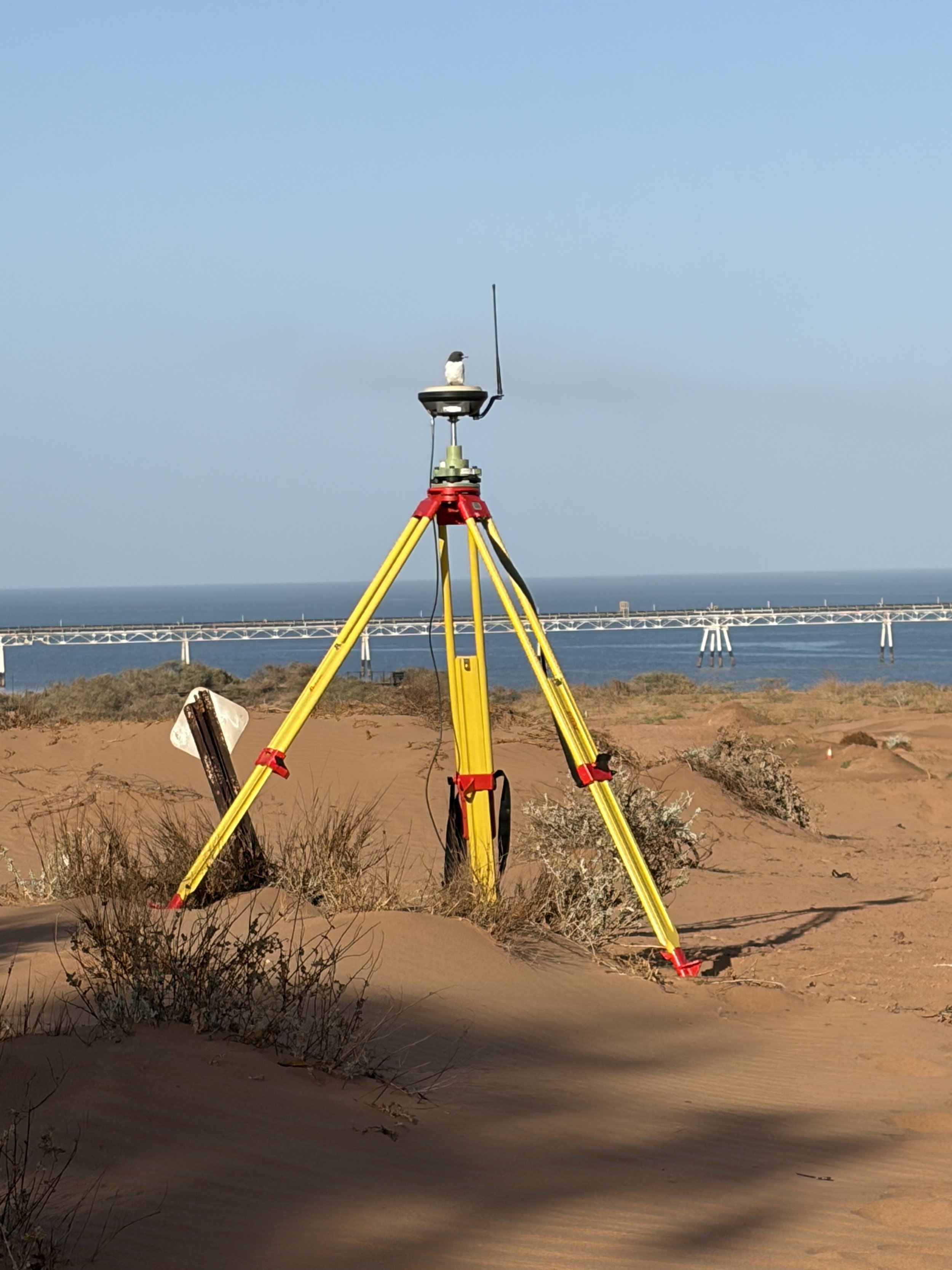 pilbara mining surveys