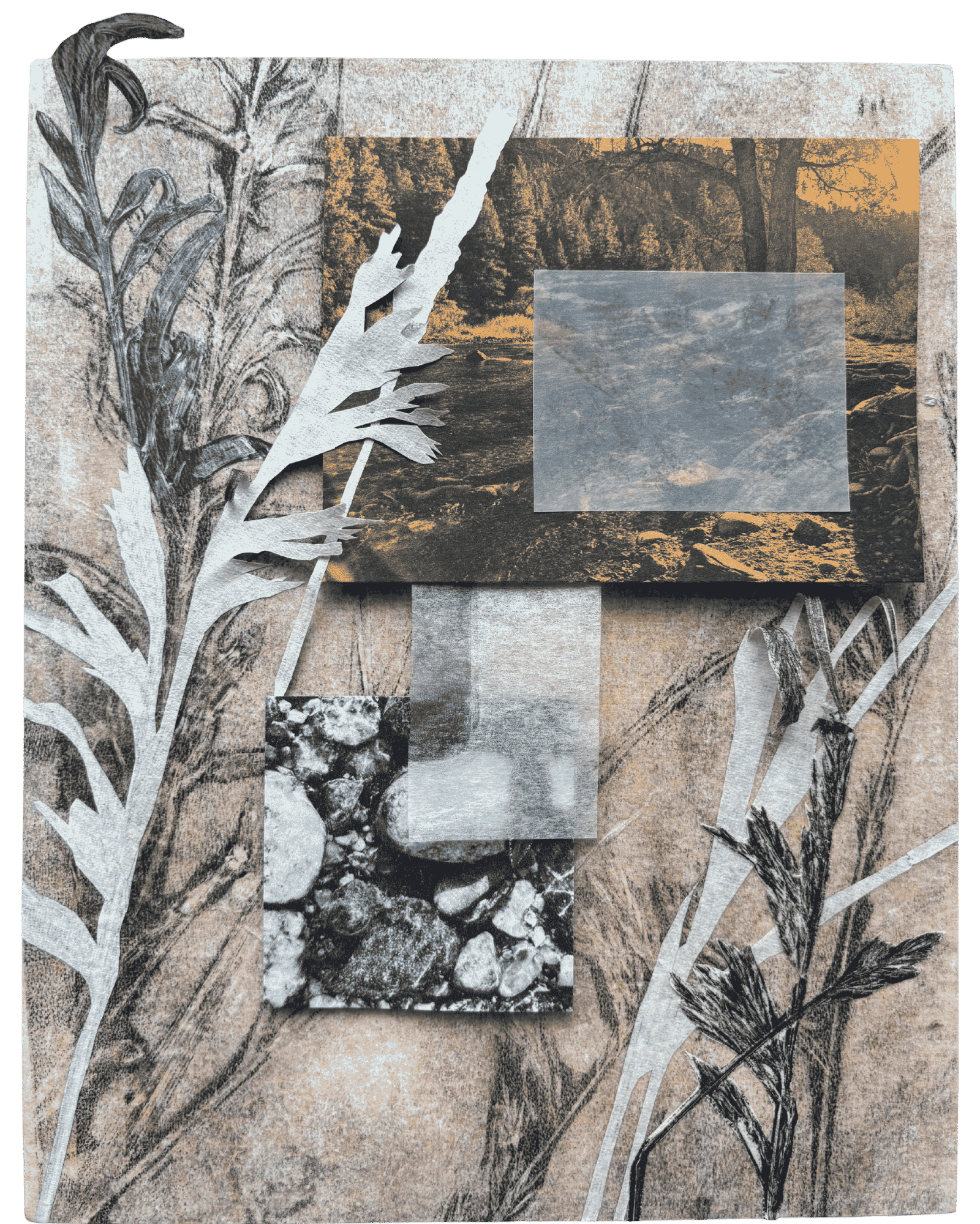 Riverbank, 2026: 8"x10" mixed media collage on panel (monoprints, various papers, and photos of the Poudre river)