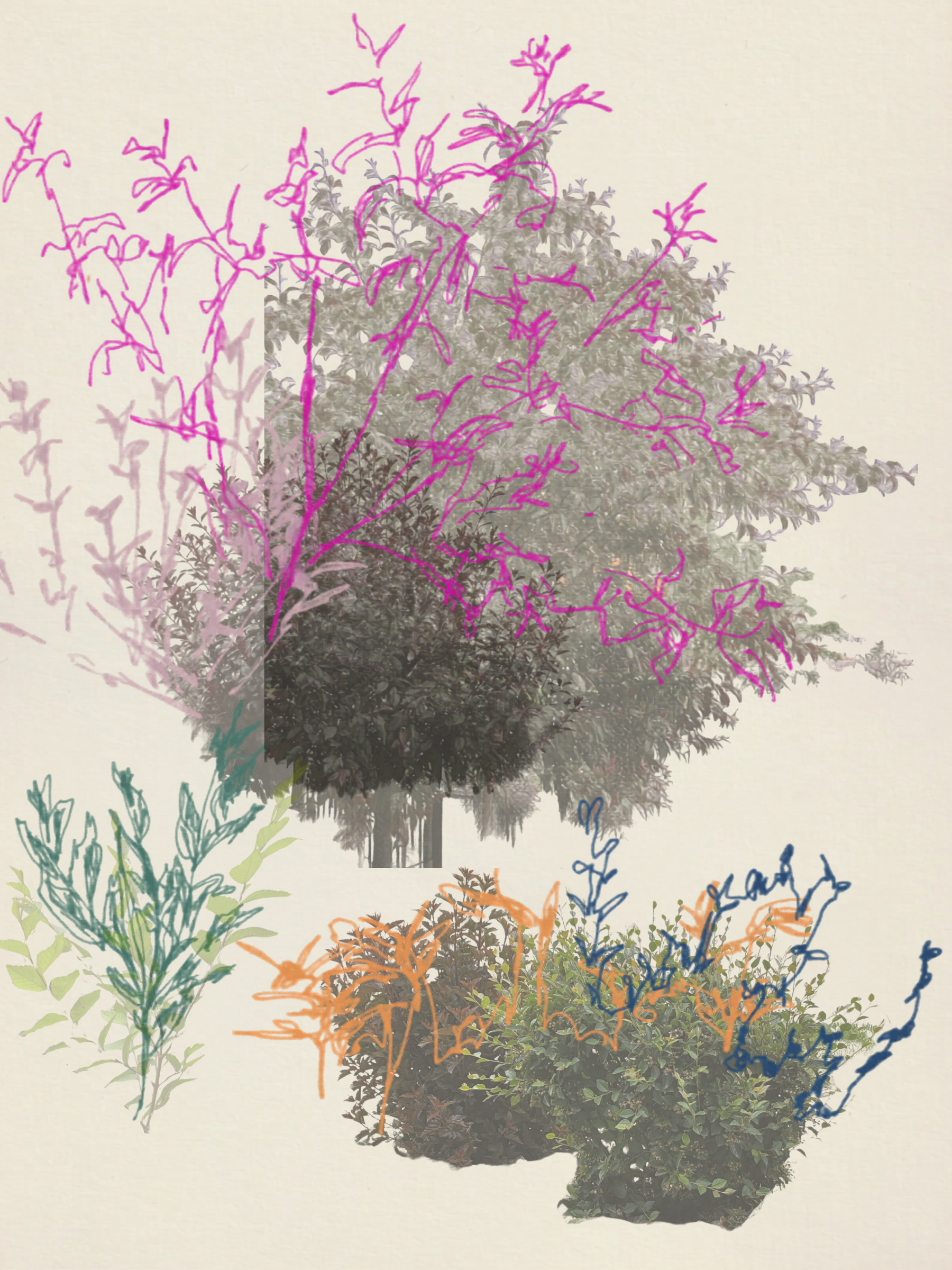 yard-collage.png