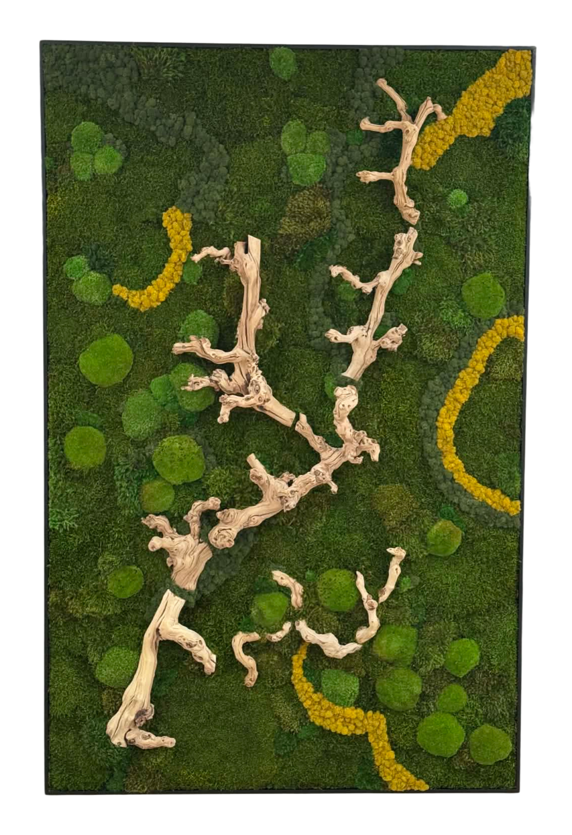 Title: Preserved Moss Art
Artist: Brenda Arredondo*!
Instagram: @Mossy_Bliss
About the piece: Beautiful 6ftx4ft Preserved Moss wall. This beautiful canvas includes a variety of mood moss, Pillow moss, carpet moss, deerfoot, and grapevine wood. 🌱✨ -M