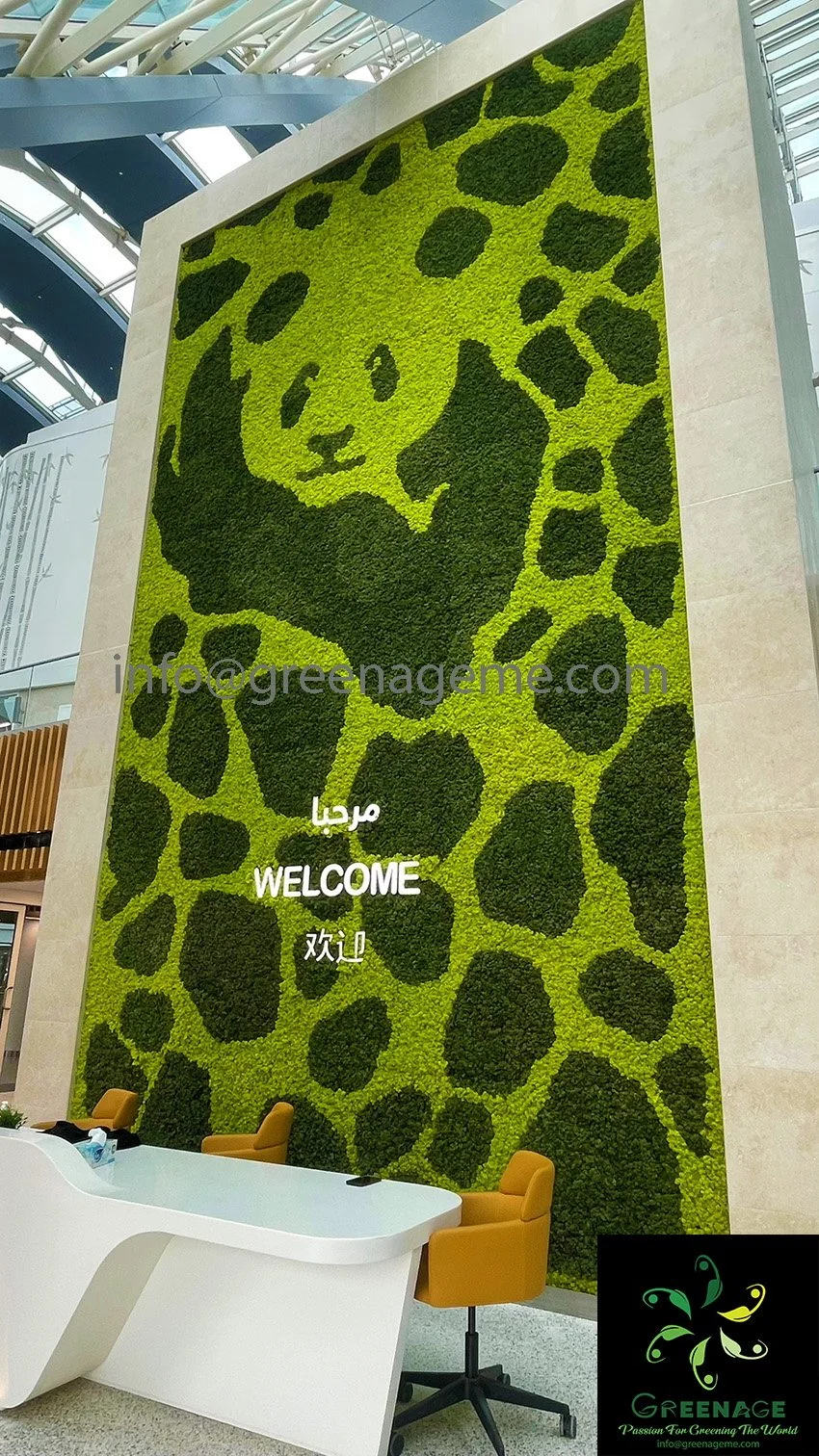 Title: MAIN ENTRANCE MOSS GREEN WALL - PANDA HOUSE - ALKHOR-DOHA-QATAR
Artist: Abdul Nazar c
Instagram: greenage_me
About this piece: PANDA HOUSE – Preserved Moss Feature Wall (2023)

Greenage successfully completed a custom preserved moss wall insta