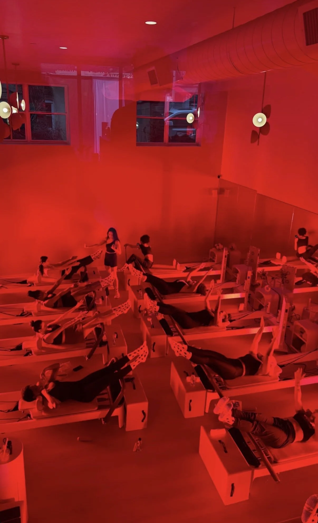 Wellness Experience