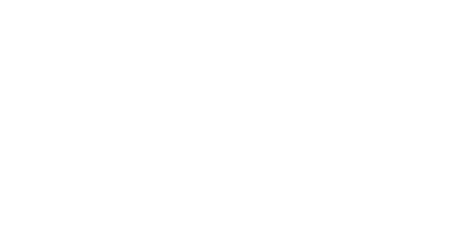 Asteron Insurance Provider