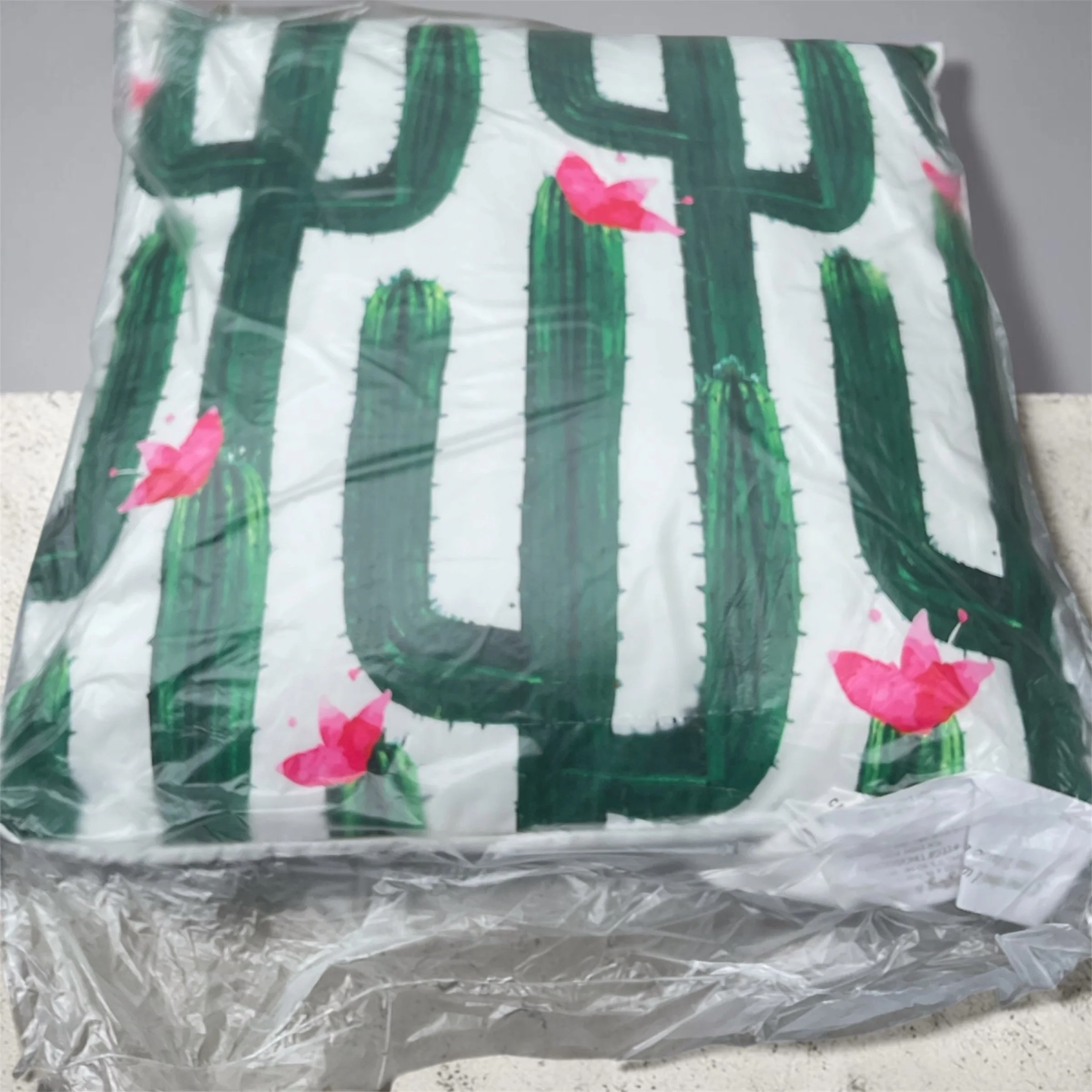 Outdoor cactus cushions