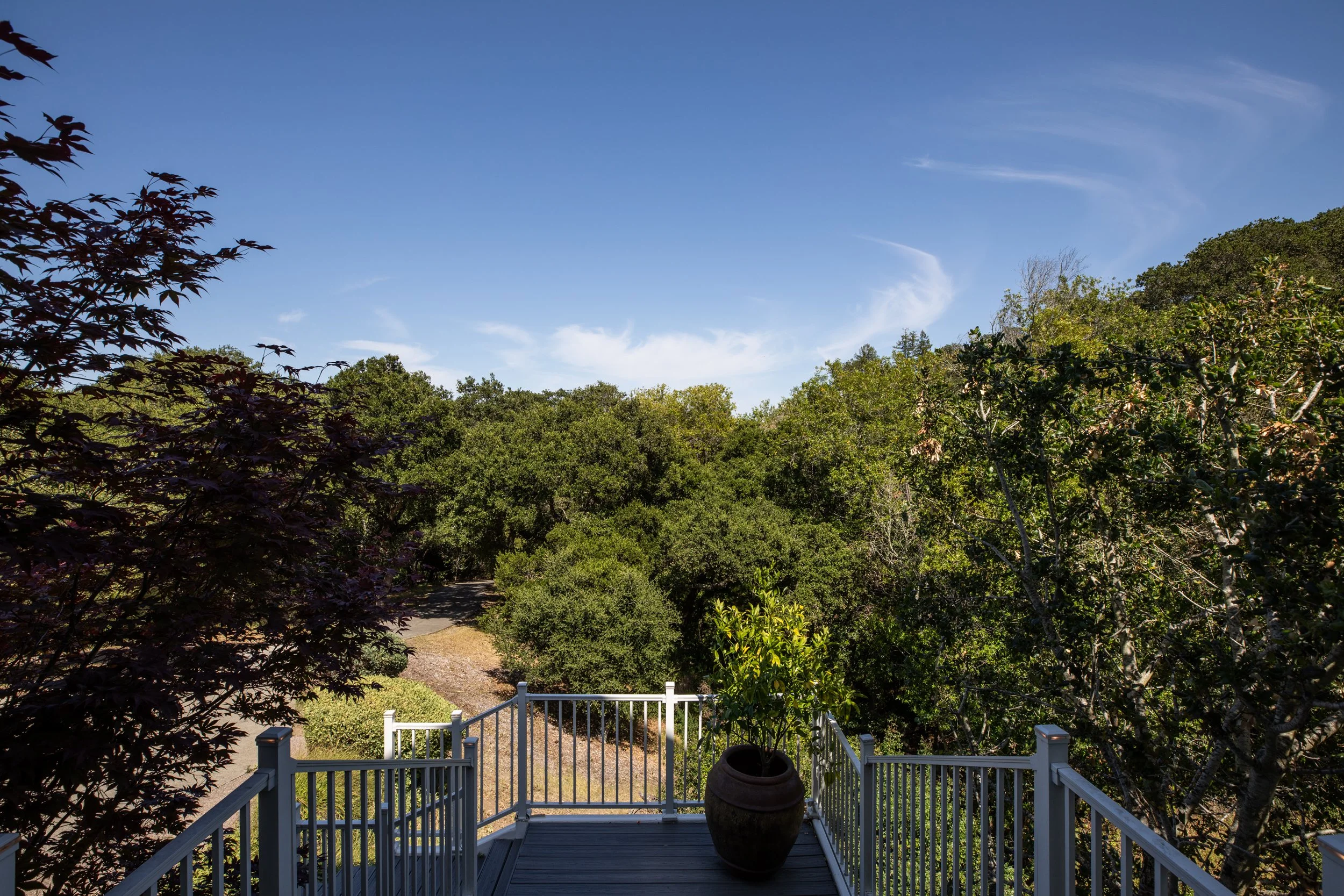 5-Harcross_Matt_Anello-1469-MLS.jpg
